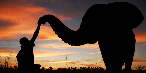 The luxury game: High-end safaris in Botswana