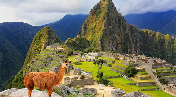 Foreign Office advisory issued over Machu Picchu demonstrations and blockades 
