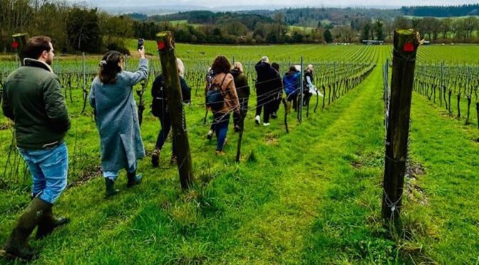 AE Expeditions offers activity-based training programme