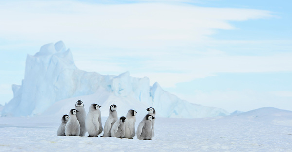 Intrepid admits climate initiatives ‘haven’t been enough’ as it unveils new strategy