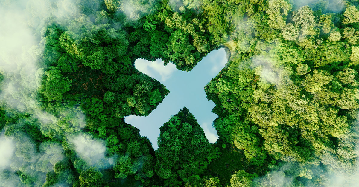 ASA raps Qatar Airways and Eurowings over environmental claims
