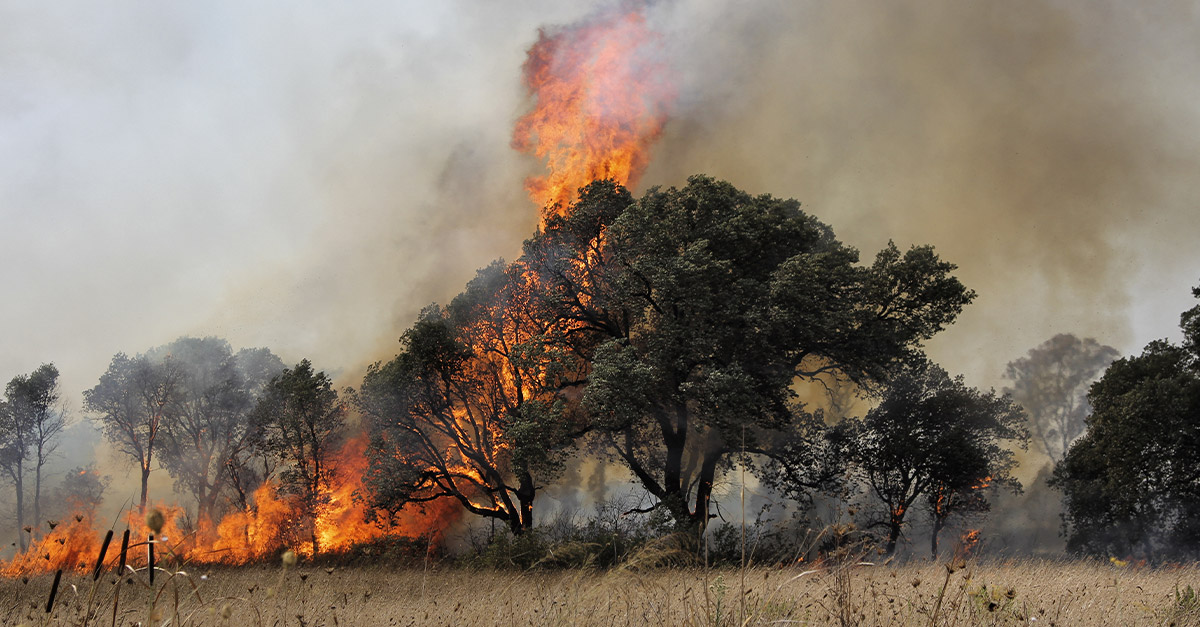 shutterstockwildfire2jpg