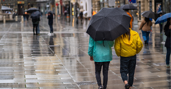 Agents score Black Friday boost despite ‘subdued’ consumer confidence