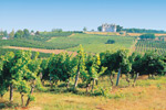 France: A perfect European escape
