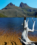 Diary of an Aussie Specialist: Tasmania – 15 Feb 2007