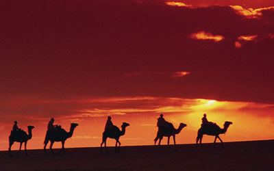 Tunisia: destination guide for travel agents