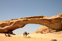 Middle East: WTM exhibitor preview