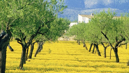 Villa holidays: What’s new for 2009
