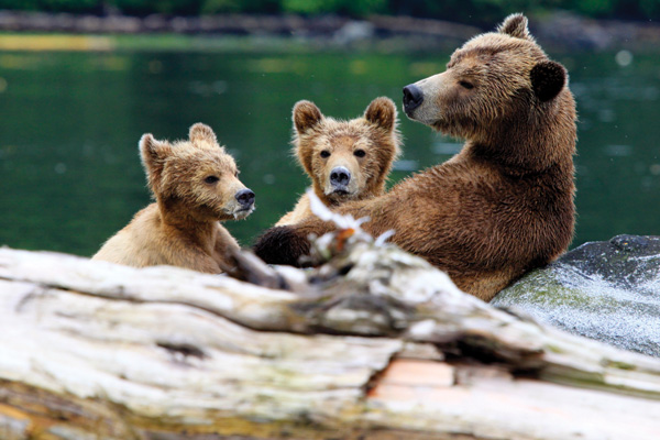 Canada – wilderness holidays