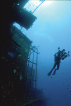 Diving: Meet you down at the Wreck