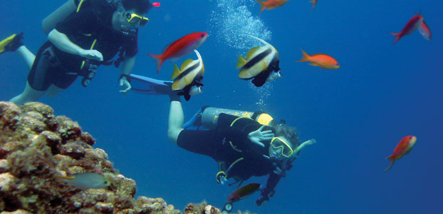 North Africa: Delve deeper