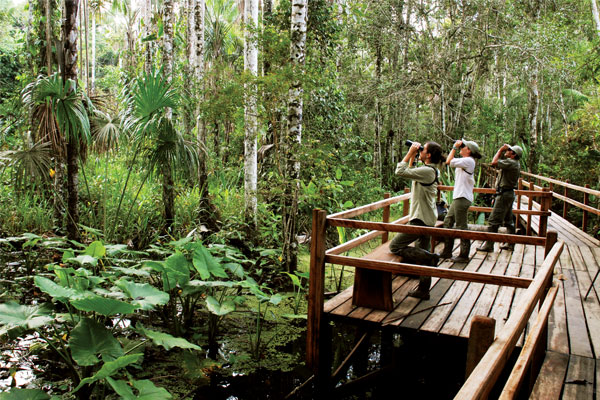 10 of the best sustainable swaps