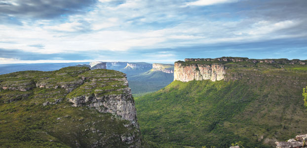 Latin America: Wild at heart
