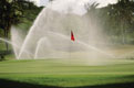 Kenya: Play some chimp-ionship golf