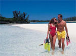 Caribbean supplement 2006