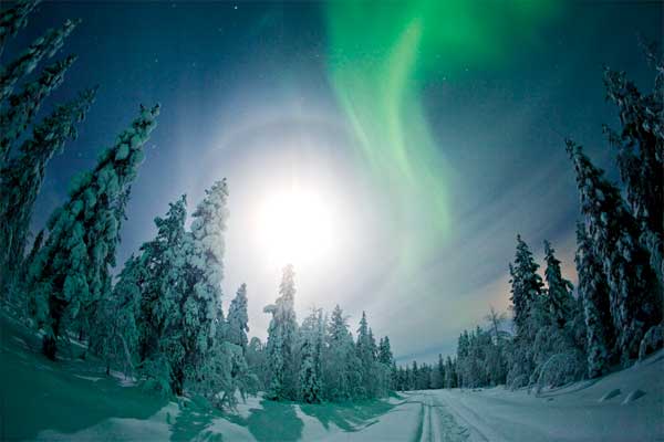 Lapland: All-action adventure in the snow