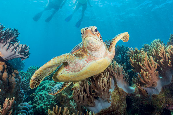 Prestige Travel to host five agents on Queensland fam trip