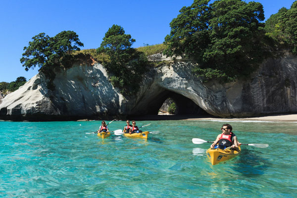Australasia: New Zealand’s North Island