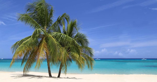 Analysis: Caribbean arrivals surge past pre-Covid levels