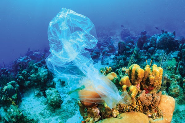 Responsible tourism: What’s the next big issue?