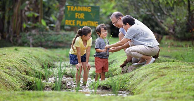 How Singapore’s travel restrictions led to a new crop of local tours