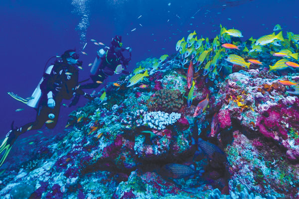 Three ways to experience the Maldives