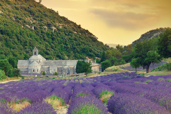 Escorted tours: No flies on these tours