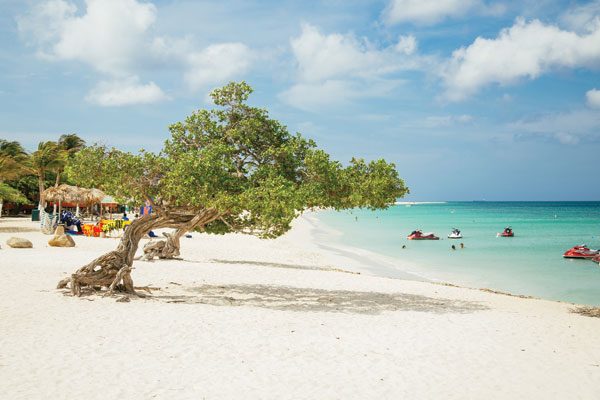 Aruba: Horses, gold and natural beauty