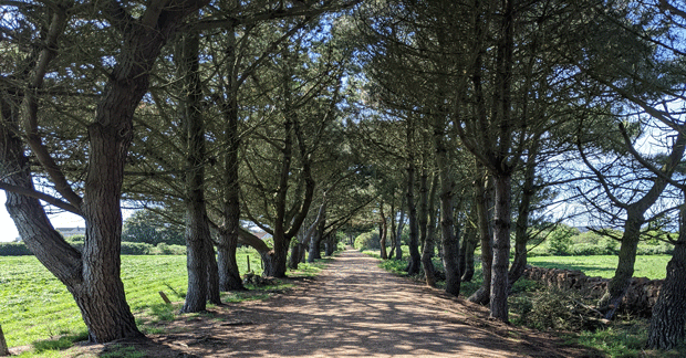 Exploring Jersey by e-bike