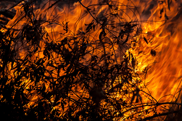 Thousands evacuated from campsites and holiday homes as wildfires grip southwest France