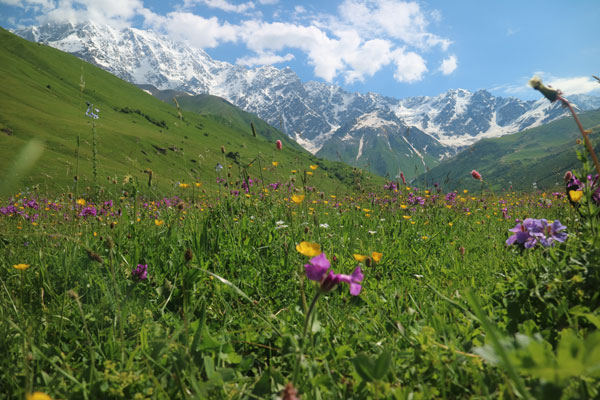Discover Georgia on an escorted tour