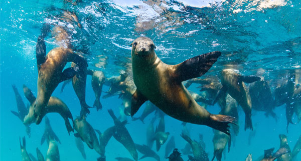 The most exciting new cruise itineraries for 2022 and 2023