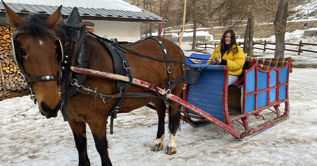 Finding the Lapland experience in France with a festive sleigh ride