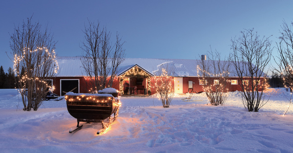 Ryanair adds Lapland services from trio of UK airports  