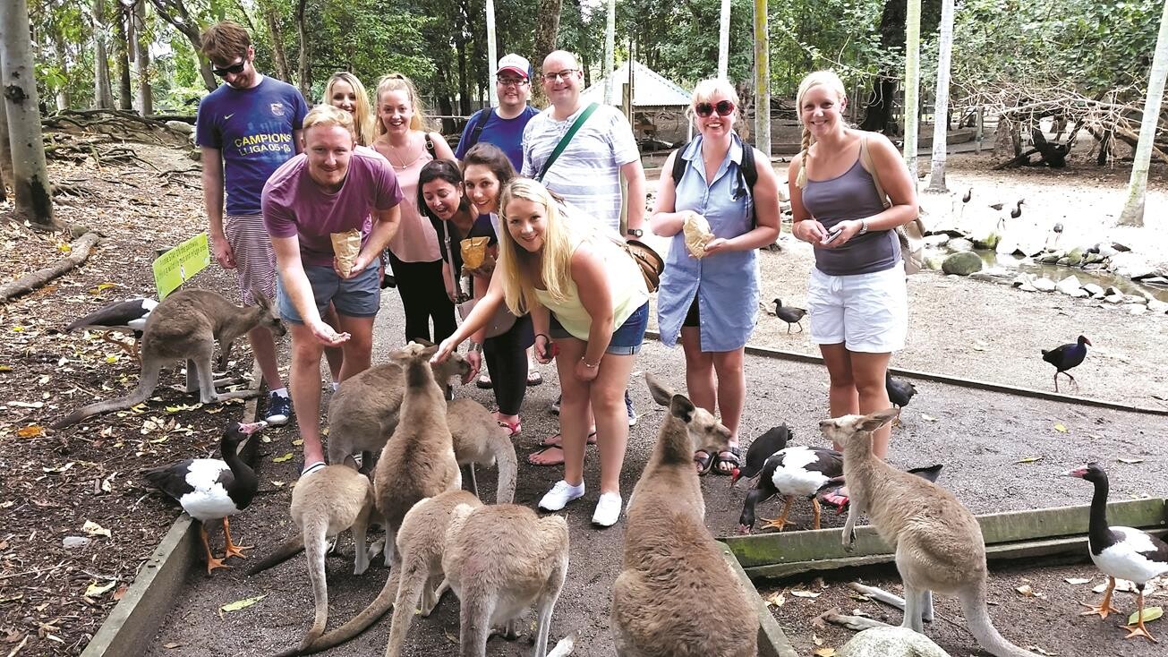 Hop, Skippy, jump: Wildlife Habitat, Port Douglas, Queensland
