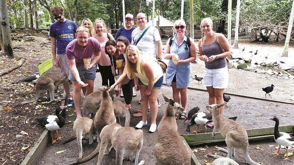 Hop, Skippy, jump: Wildlife Habitat, Port Douglas, Queensland