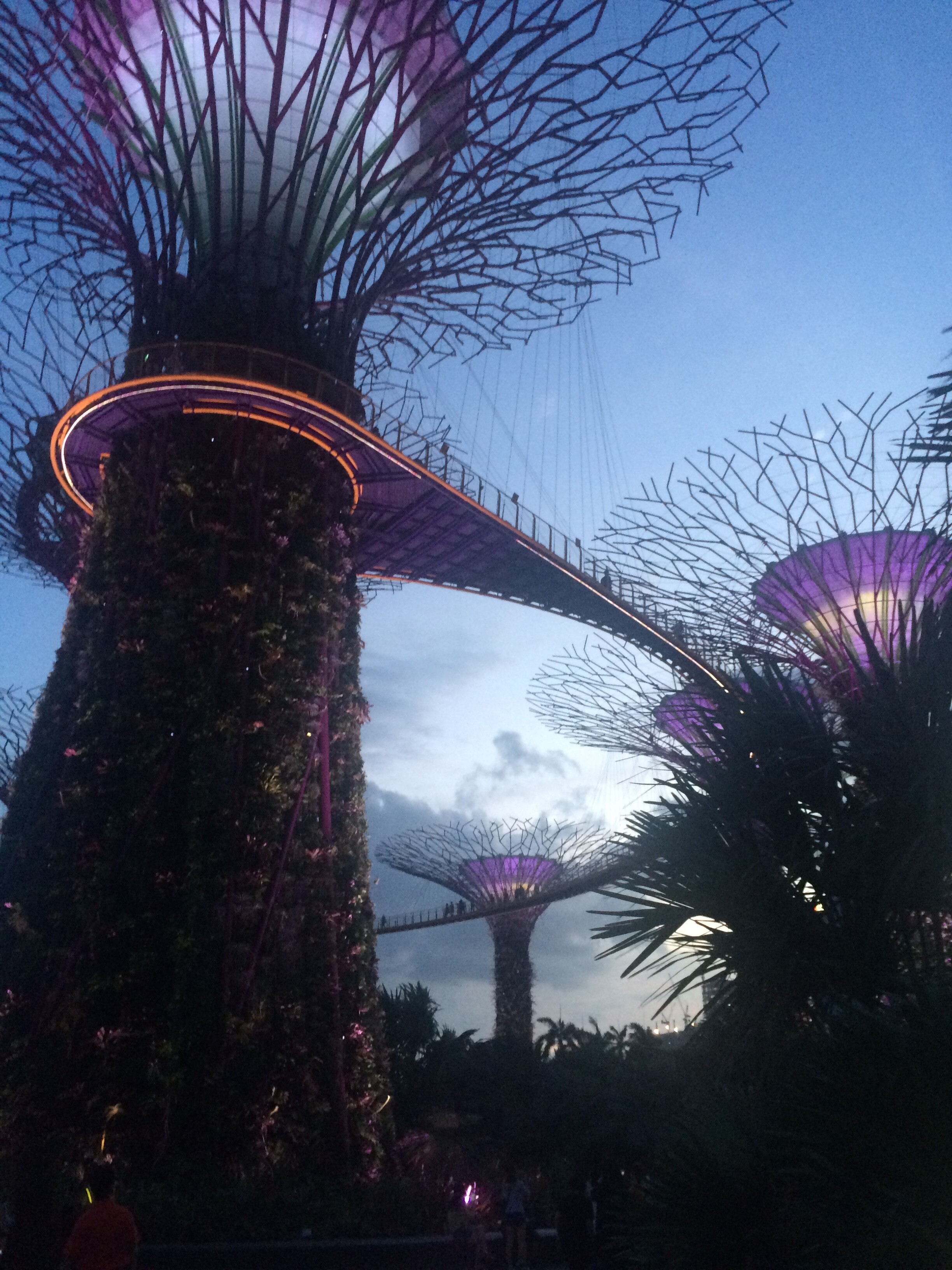 Singapore 6.JPG