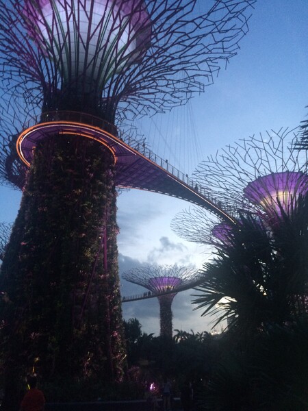Singapore 6.JPG