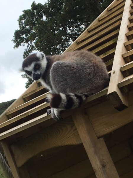 af95bbc6eb2bf2bcc2b76d663269c589_IMG_8004