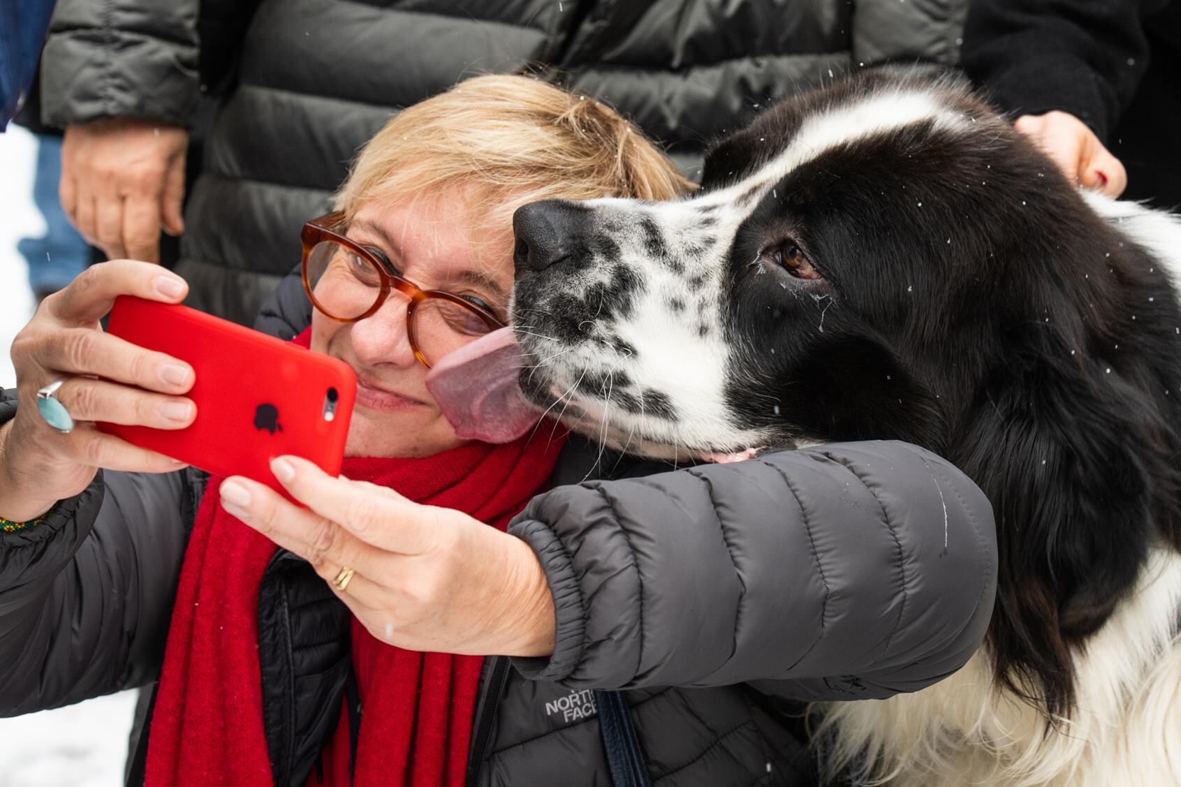 dc2e09775de492cec5a5a5a658012261_Connections-Meetings-Courmayeur-2019-712-Copy