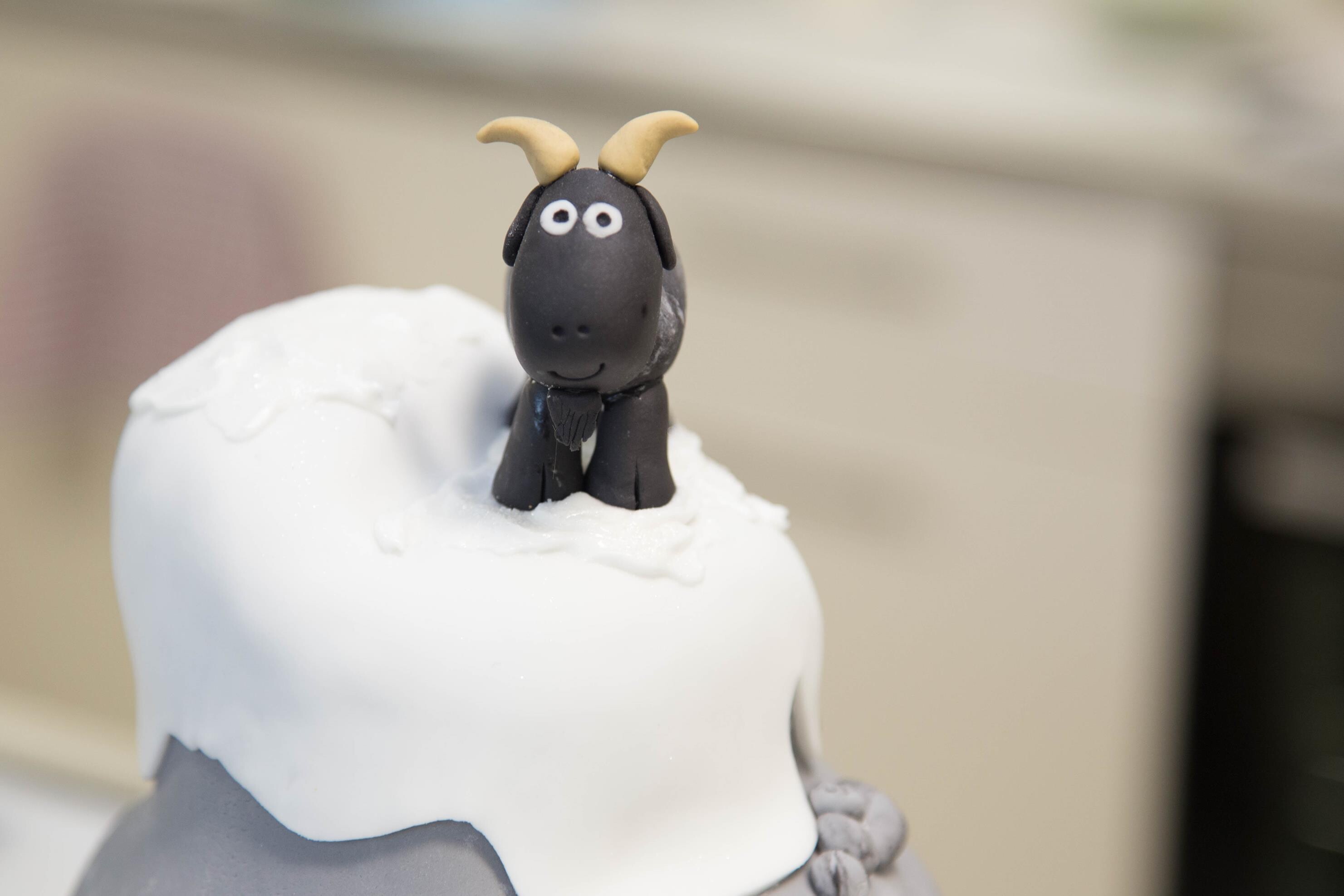 46cce875efffd610f52abbcabe951935_cakeof2017-27