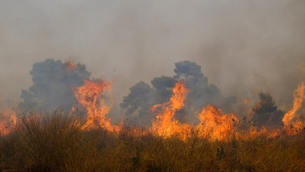 Hundreds evacuated as wildfire burns in Crete