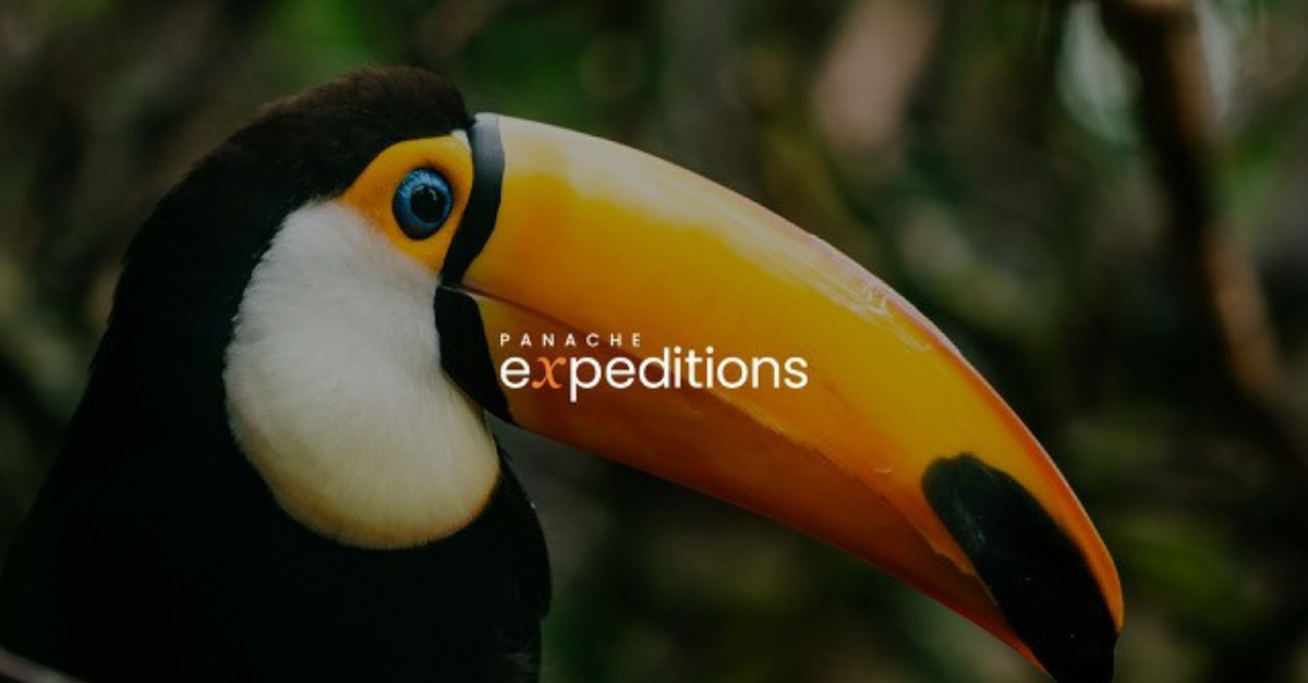 Panache Expeditions brand. Resized