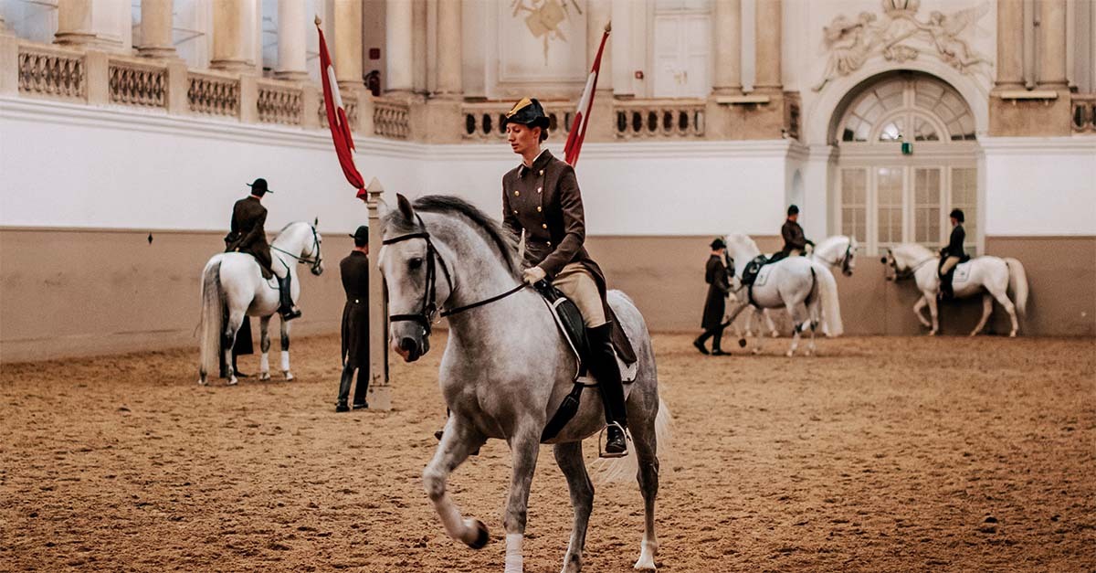 5 of the best things to do in Vienna
