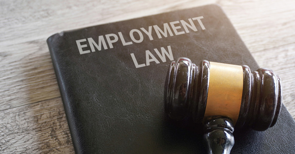 Government’s Employment Rights Bill will mark ‘radical change’ in law