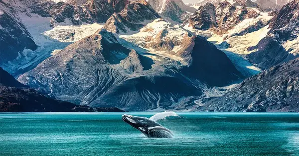 The complete guide to selling Alaska cruises