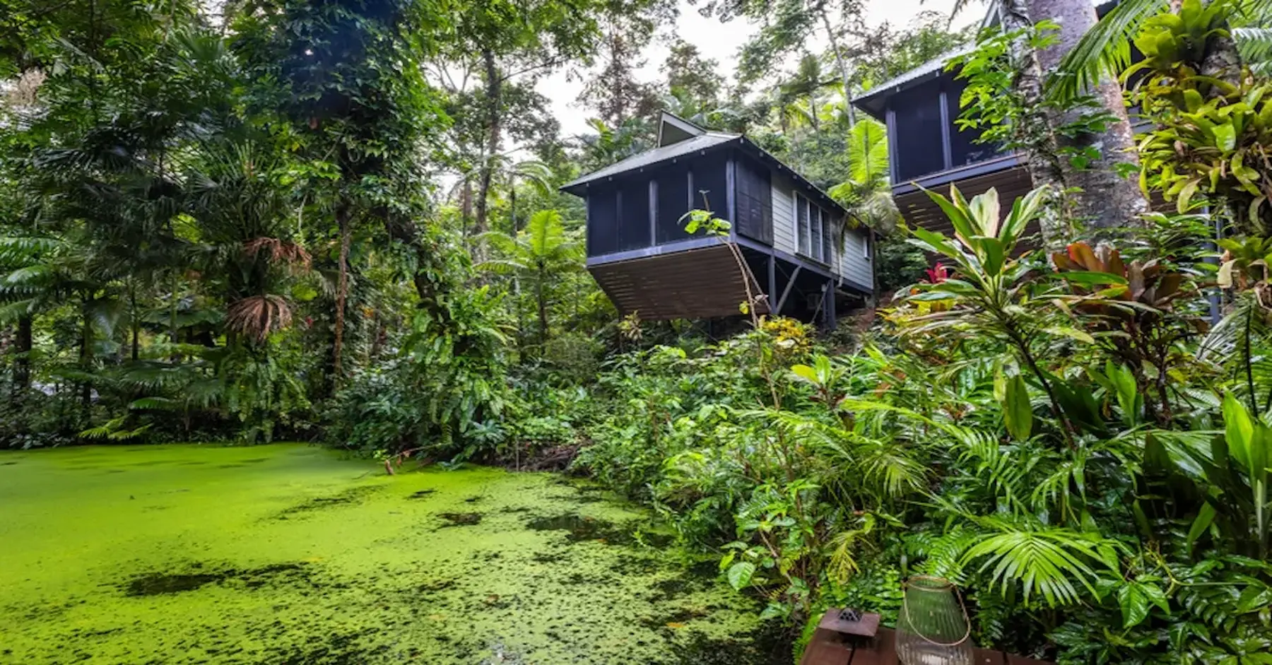 Intrepid Daintree Eco Lodge