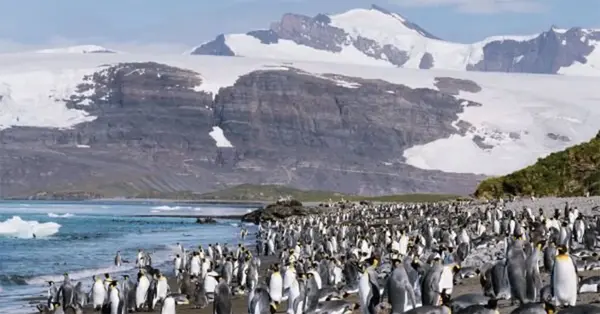 Travelpack offers fam trip draw opportunities with expedition webinar