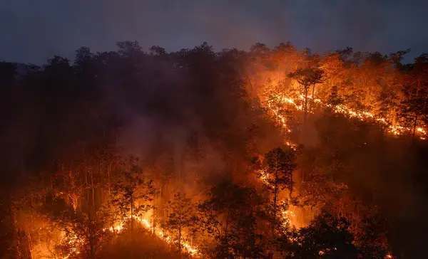 Heatwave triggers wildfires across southern Europe 