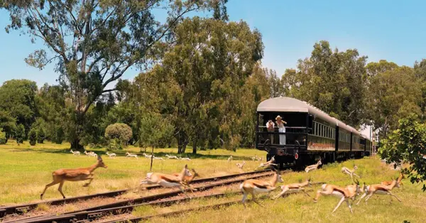Fred Holidays introduces ‘out-of-date’ range package guarantee 